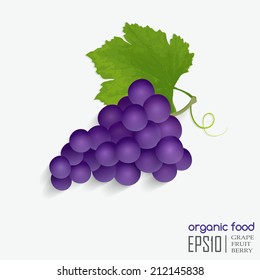 Realistic vector illustration of isolated grape, organic food