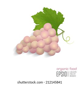 Realistic vector illustration of isolated grape, organic food