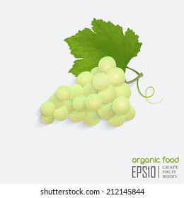 Realistic vector illustration of isolated grape, organic food