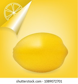 realistic vector illustration of a lemon