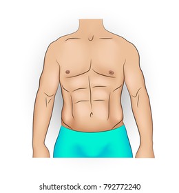 Realistic vector illustration of a man with strong slim body and pumped abs