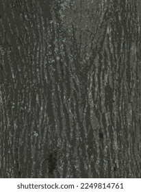 Realistic vector illustration of maple bark close up. Acer barrel texture. Background from living wood. Skin of the forest nature.