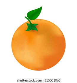 Realistic vector illustration of orange fruit with green leaves. Isolated on white background