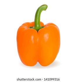 Realistic vector illustration of orange pepper or paprika
