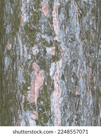 Realistic vector illustration of a pine bark close-up. Texture of Pinus strobus or Weymouth pine trunk. Background from living wood. Skin of the forest nature.