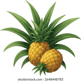 Ilustração vetorial realista de uma planta de abacaxi com frutos maduros de abacaxi dourado e folhas verdes pontiagudas, isoladas sobre fundo transparente.