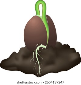 Realistic vector illustration of a plant growth stage showing a brown seed with a green sprout growing from it and roots visible in the dark soil
