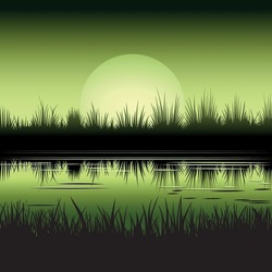 Realistic Vector Illustration Of A Pond Overgrown With Vegetation In The Mysterious Light Of The Rising Moon