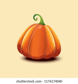 Realistic vector illustration with pumpkin isolated on light background.