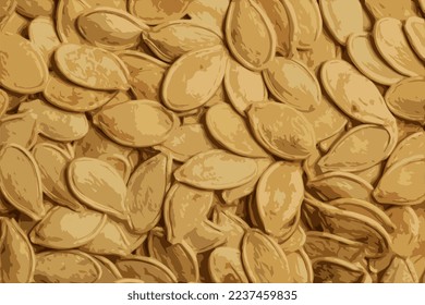 Realistic vector illustration of pumpkin seed texture. Pumpkin seeds as a background.
