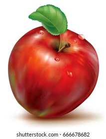 Realistic vector illustration of red apple on white background
