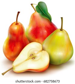 Realistic vector illustration of red green pears whole and half