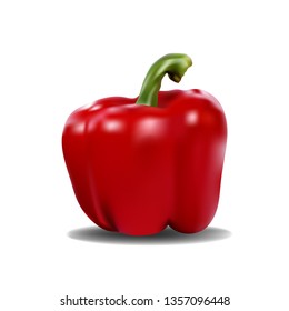 realistic vector illustration of red pepper on white background