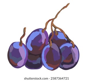 Realistic vector illustration of ripe grape branch. Watercolor or oil painting style hand drawn illustration. Mediterranean italian design elements for invitations, greeting cards, prints, posters.