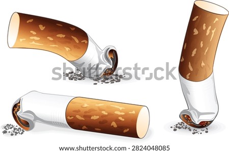 A realistic vector illustration set detailing extinguished cigarette butts with orange-glowing embers and gray ash. Each smoke stub features the classic textured brown filter tip and a crumpled white body, capturing the gritty details of a crushed cigarette. This graphic asset is perfect for healthcare campaigns, anti-smoking posters, environmental pollution awareness graphics, and educational editorial designs highlighting the dangers of tobacco addiction.#CigaretteButt #AntiSmoking #SmokingCessation #TobaccoWaste #NicotineAddiction #HealthcareGraphic #EnvironmentalLitter #SmokeFree #CigaretteFilter #VectorIllustration