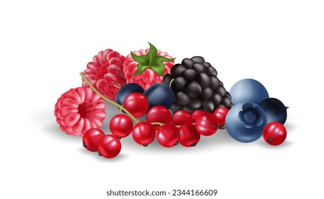 El conjunto de ilustraciones vectoriales realistas incluye un grupo de bayas maduras y jugosas, incluyendo arándanos, frambuesas, moras, rojizos. Frutos deliciosos para cualquier diseño temático de verano