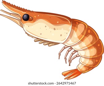 Realistic vector illustration of a shrimp with vibrant colors and intricate details, highlighting its texture and form