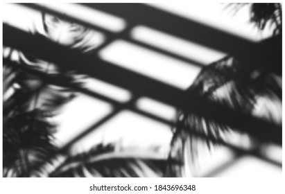 Realistic vector illustration of soft shadows overlay from palm branches and architectural elements
