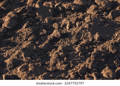 Realistic vector illustration of soil texture background. Fertile soil suitable for planting. Plowed agricultural field, dry land close-up.
