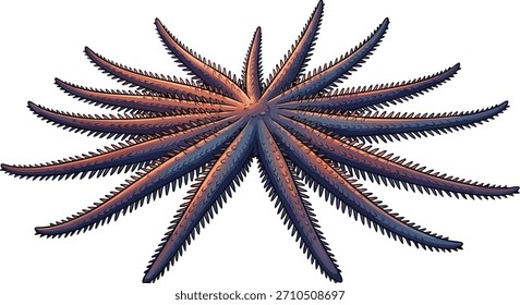 Ilustración vectorial realista de una estrella de mar puntiaguda con muchos brazos largos. Invertebrados marinos aislados sobre fondo blanco