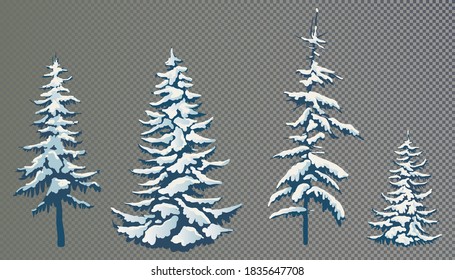 Realistic vector illustration of a spruce tree in the snow on a transparent background. Green fluffy pine isolated on a white background. Winter snow-covered trees. Elements for the Christmas scene.