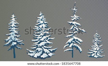 Realistic vector illustration of a spruce tree in the snow on a transparent background. Green fluffy pine isolated on a white background. Winter snow-covered trees. Elements for the Christmas scene.
