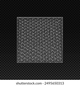 Realistic vector illustration of a square sheet of bubble wrap. Detailed depiction of clear plastic bubbles against a transparent checkered background.