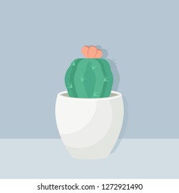 Realistic vector illustration of a succulent plant