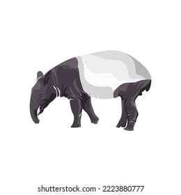 Realistic vector illustration of tapirs, mammals, beautiful tapirs.