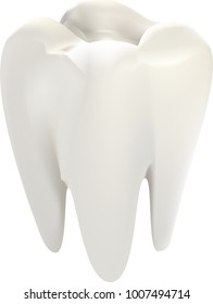 Realistic vector illustration of a tooth isolated on a white background