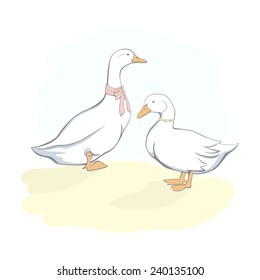 Realistic vector illustration of two ducks made in classic Victorian style.