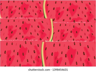 Realistic vector illustration of watermelon slices. Color vector fresh melon pieces.