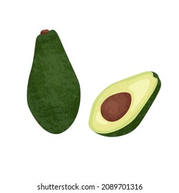 Realistic vector illustration whole and cut avocado isolated on white background.