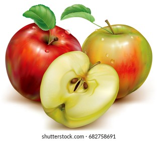 Realistic vector illustration of whole and half apples on white background