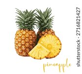 Realistic Vector Illustration of Whole and Sliced Pineapples
