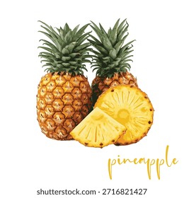 Realistic Vector Illustration of Whole and Sliced Pineapples