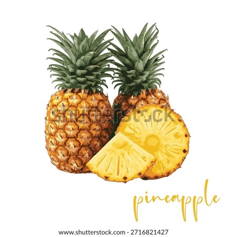 Realistic Vector Illustration of Whole and Sliced Pineapples