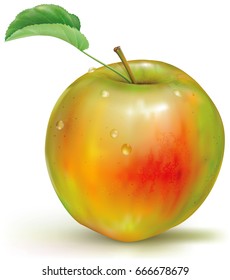 Realistic vector illustration of yellow green apple on white background
