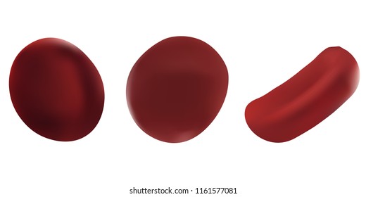 Realistic vector illustrations set red blood cell. Scientific concept. Red blood cells isolated on white background