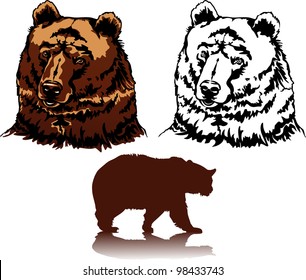 Realistic Vector image of a head of brown bears (grizzlies)