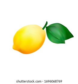 
Realistic vector image lemon fruit and two leaves  Done using the gradient mesh tool  It can be used as an element for composition 