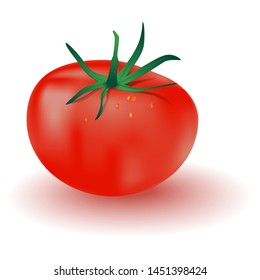 Realistic vector image of a tomato with green leaves and water drops and shadow below. Isolated on white background.