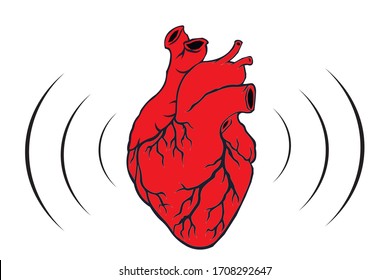 corazón humano aislado vector realista. Corazón anatómicamente correcto con sistema venoso... latido de un corazón y red 5G, alta velocidad