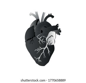realistic vector isolated human heart. Anatomically correct heart with venous system. human heart Vector illustration