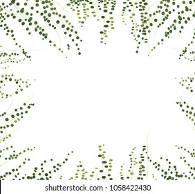 realistic vector ivy plant isolated on white background. Floral design elements. ivy wall background. greenery vector illustration. climbing plant leaves. texture background card website banner