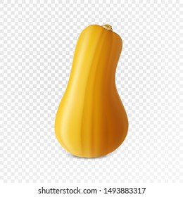 Realistic vector juicy ripe pumpkin pear isolated on transparency grid background