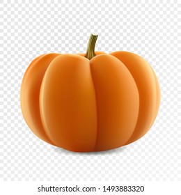 Realistic vector juicy ripe pumpkin isolated on transparency grid background