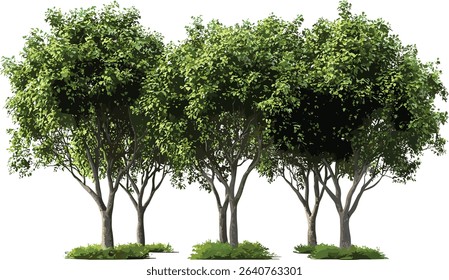 Realistic vector jungle trees group, lush tropics greenery, outside tropic forest, jungle vegetation, tropical trees, outdoor greenery, jungle nature set, tropic foliage