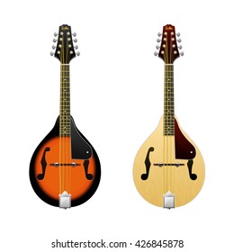 Realistic vector Mandolin / isolated on white mandolin / Folk music instrument / Mini-guitar