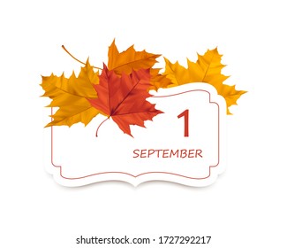 Realistic vector maple leaves and curly card with place for text. Design elements for greeting cards, banners, and posters.